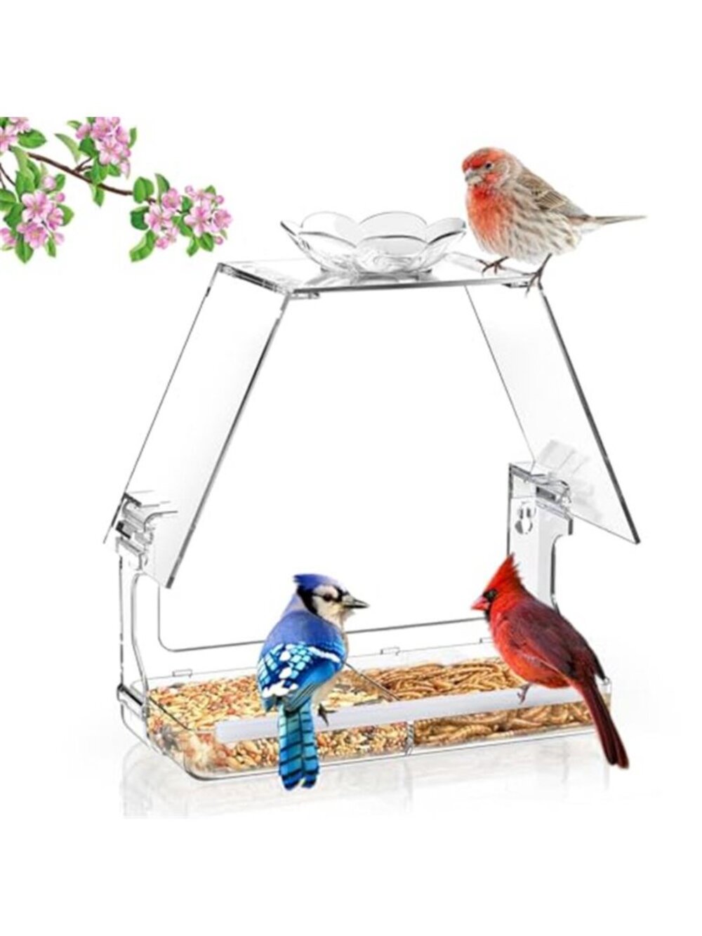 New Window Bird Feeder with Non-Marking Self-Adhesive Hooks, Clear and